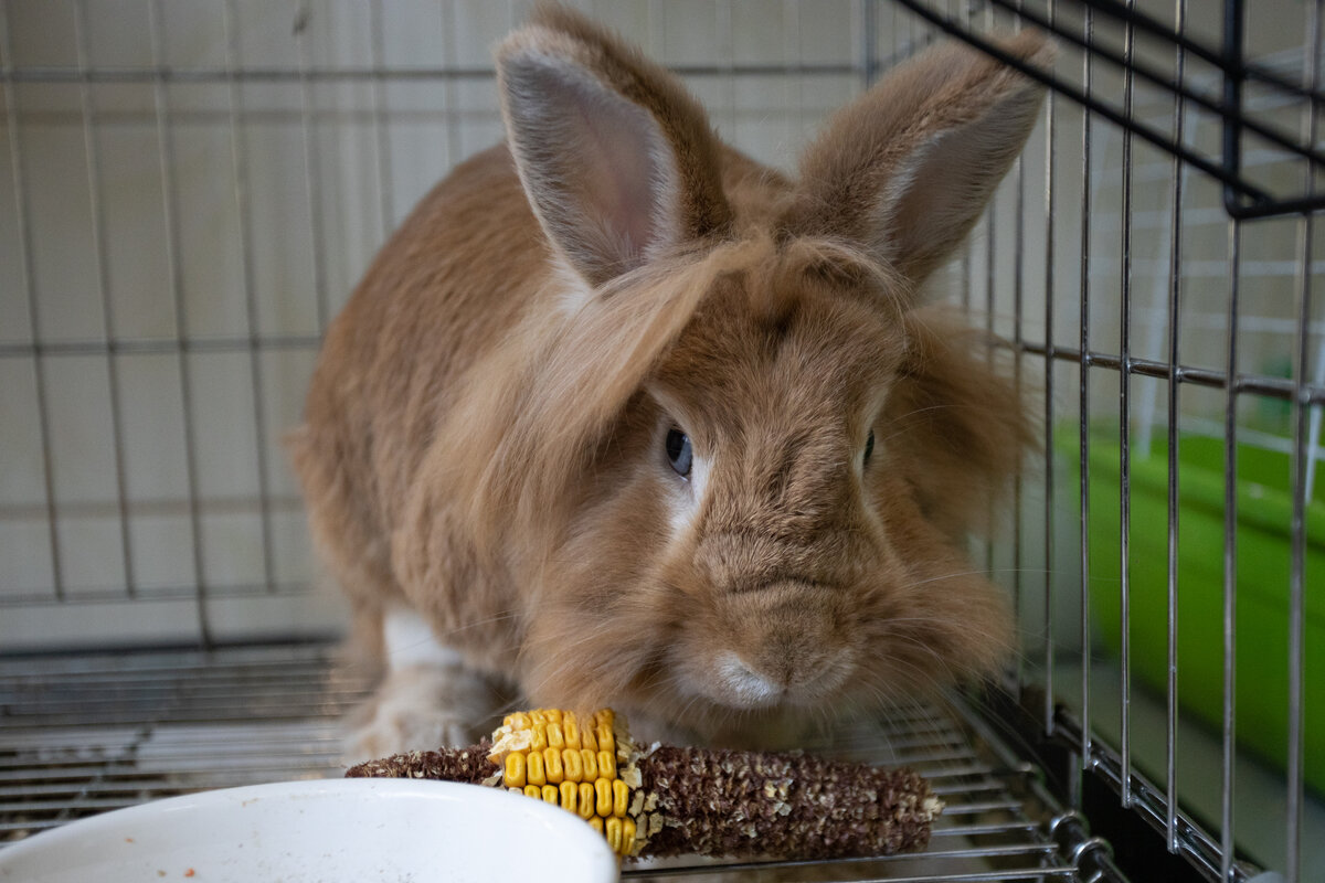 Фото: Тульская служба новостей 