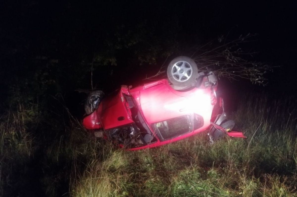    В ДТП под Тверью погиб 21-летний пассажир съехавшего в кювет автомобиля