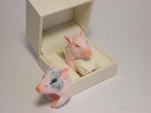 Листайте вправо, чтобы увидеть больше изображений