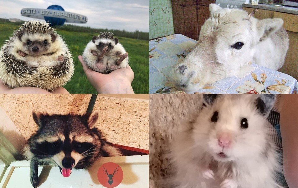     Фото народных корреспондентов