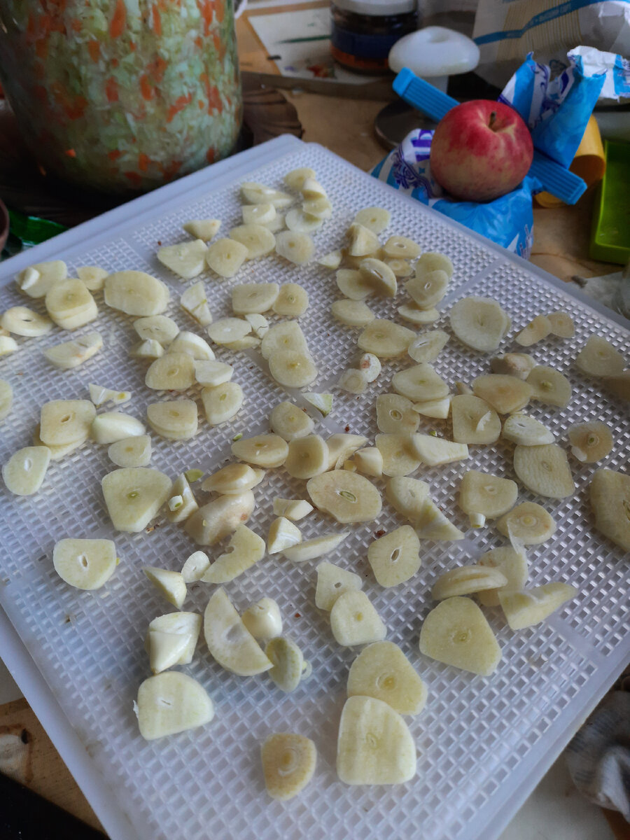 Чеснок для сушки.