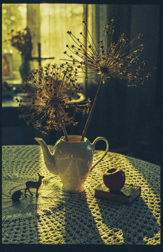 Life in photographs.  Laura Macabrescu.