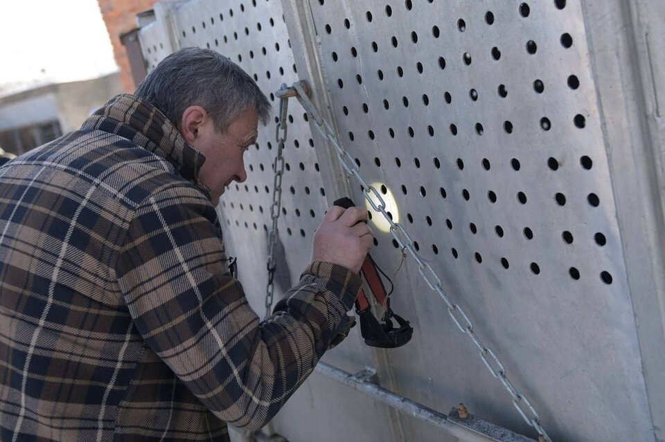     Тигр угодил в специальную ловушку. Фото: t.me/Degtyarev_Info