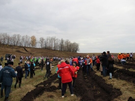     Фото: Администрация Курской области