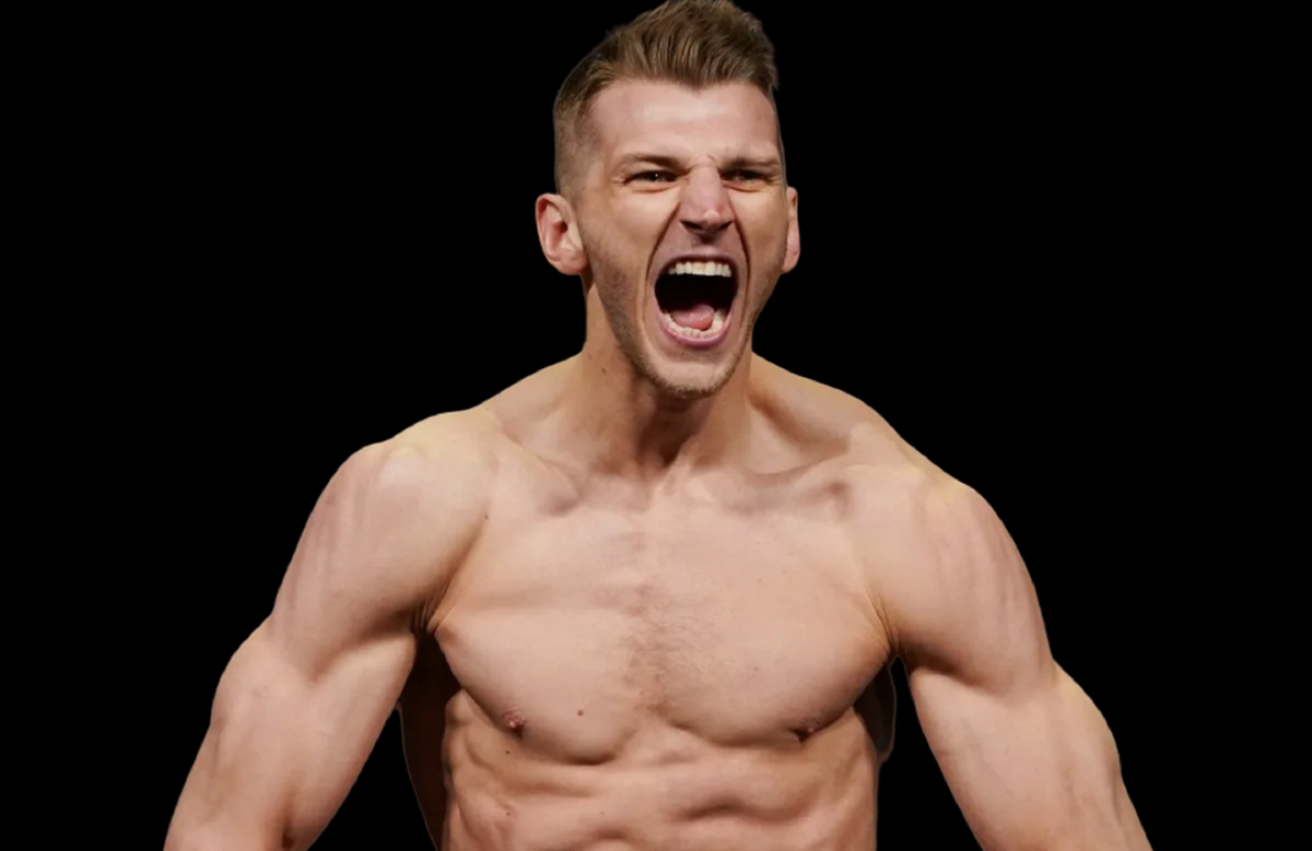 Боксерский мешок MMA 36кг UFC