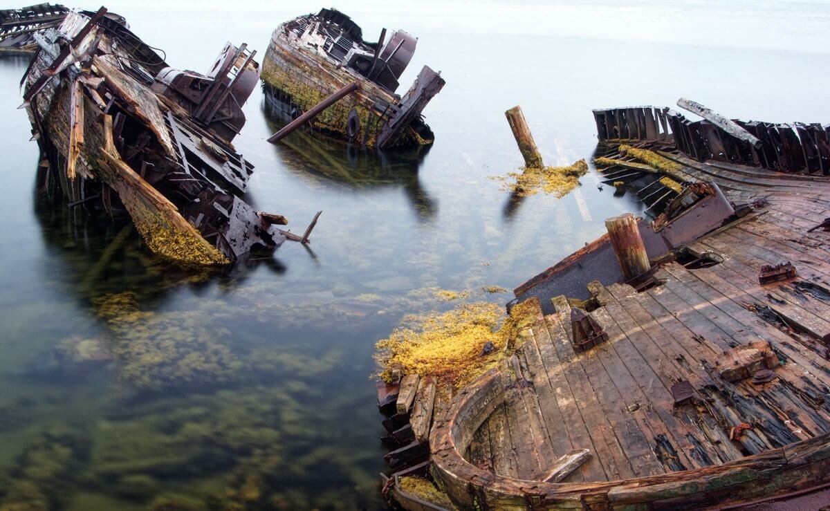 в саргассовом море