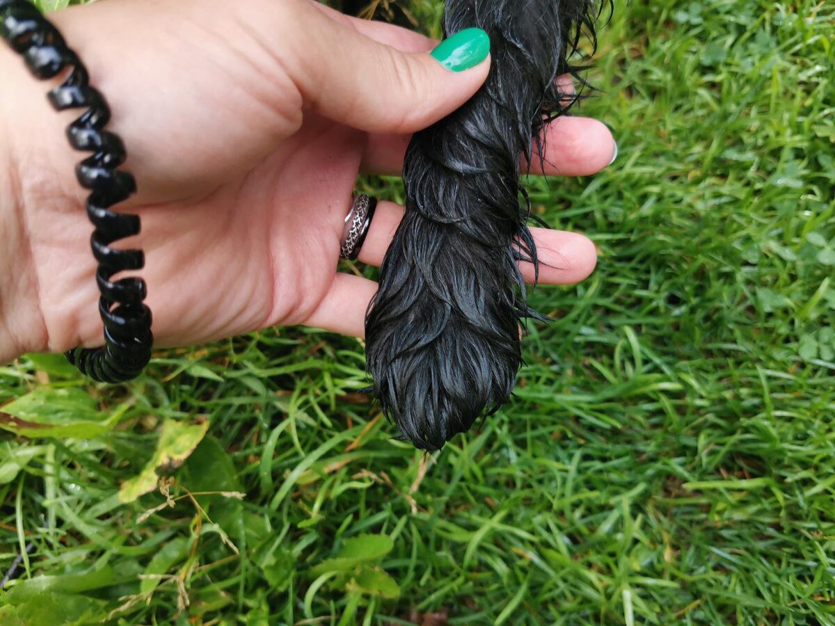 На черных лапках грязь и не видна...но это не значит, что её нет