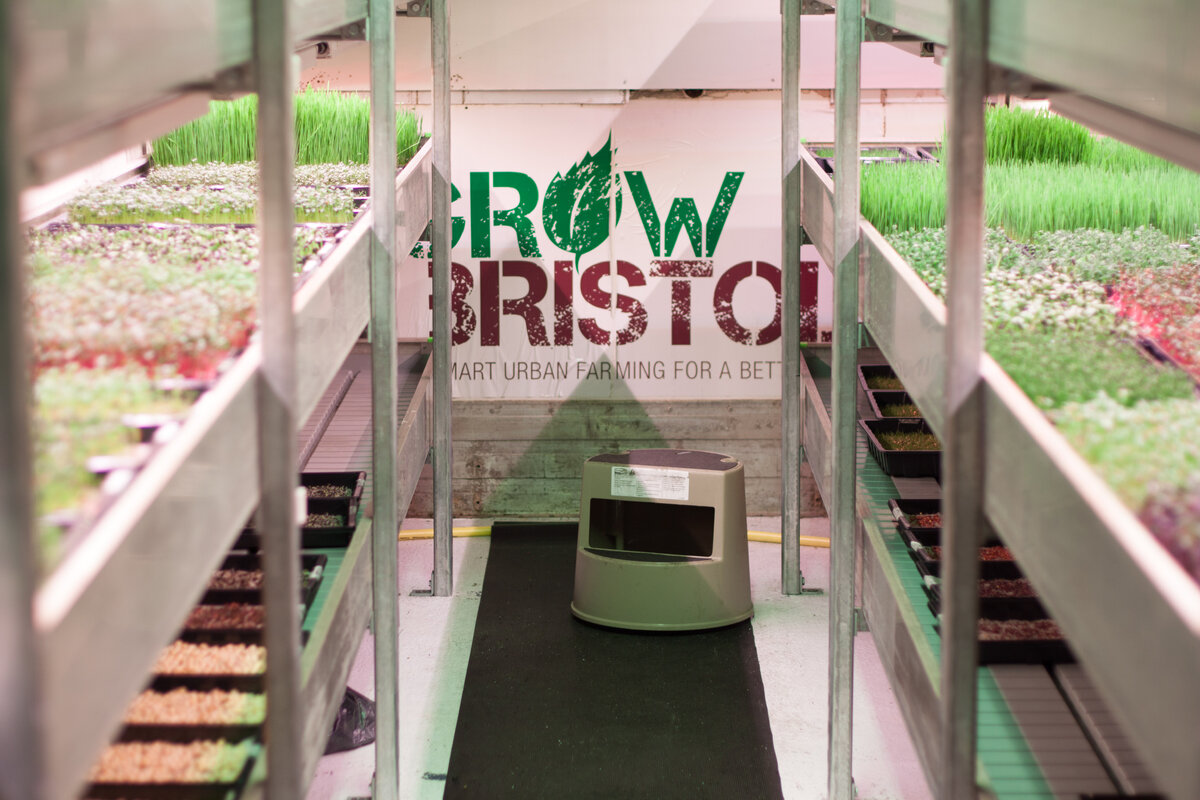 Bristol Food Producers📷Английские активисты из Grow Bristol переоборудовали бывшее помещение железно-дорожной станции в сити-ферму. Местную зелень покупают два десятка ресторанов.