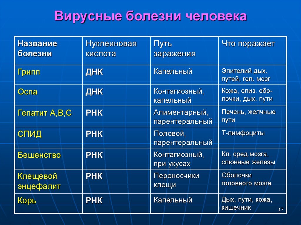 Вирусы примеры заболеваний человека