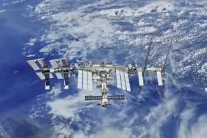    фото: naked-science.ru Лаура Акопян