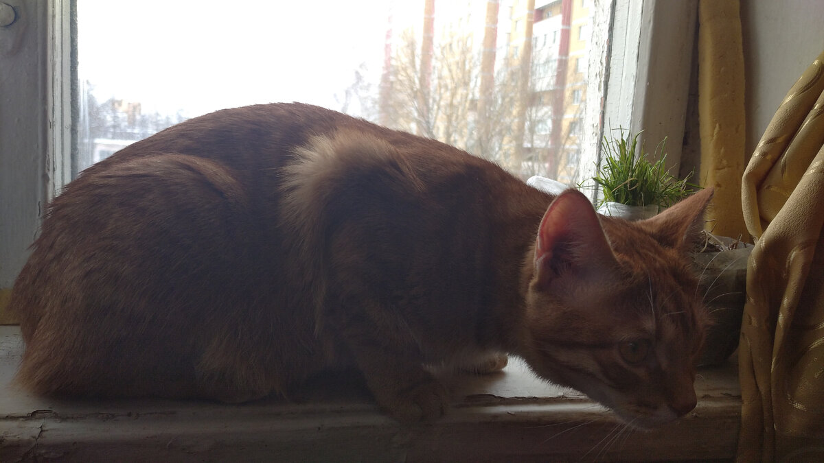 Личное  фото.