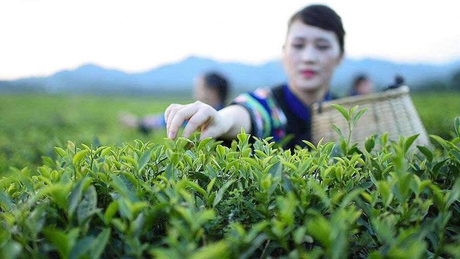 Изображение взято с сайта www.iz.ru