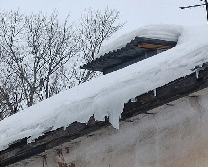    Фото: vk.com/id216824998