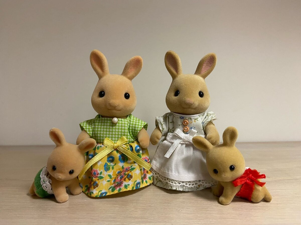 Sylvanian Families Sunny rabbits - семья солнечных кроликов из серии Easy  buy | Коробка с зайчиками | Дзен