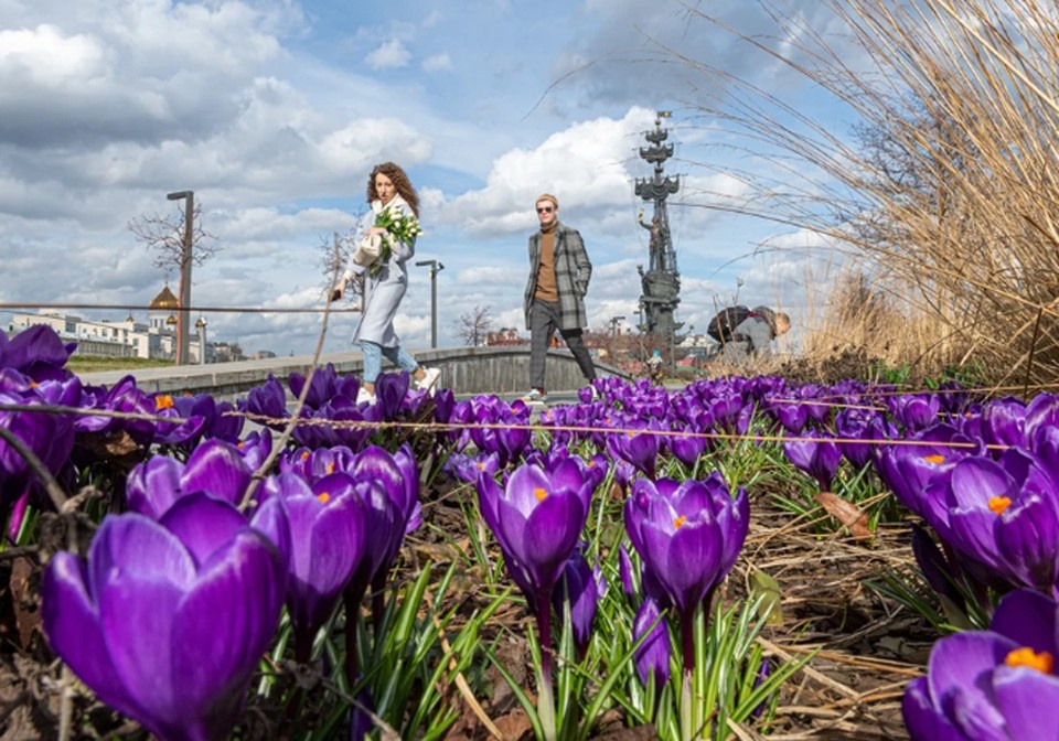     Весна уже пришла! Михаил ФРОЛОВ