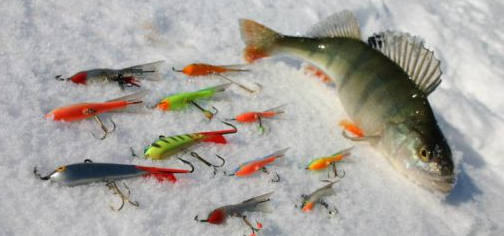      В предвкушении удачной рыбалки.