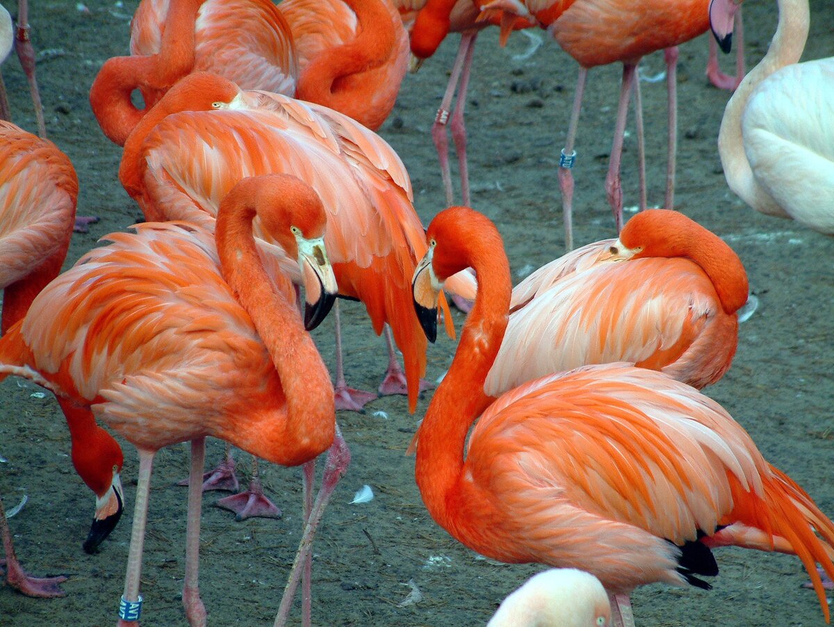 Фото: Victor Lisitsin/Globallookpress