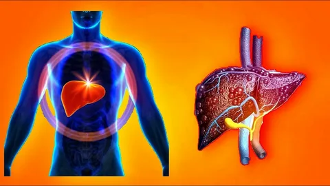 взято из общего доступа