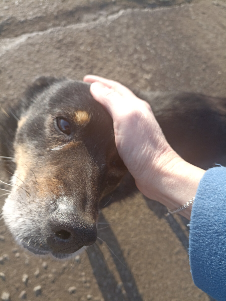 Тоже случайный попутчик по дороге на работу☺))) 