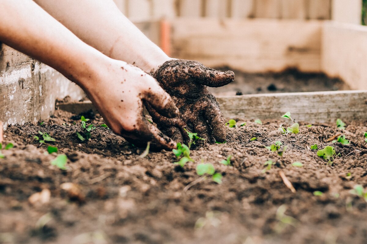     5 главных ошибок дачников: мы совершаем их каждую весну!