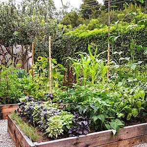 Взято из общего доступа