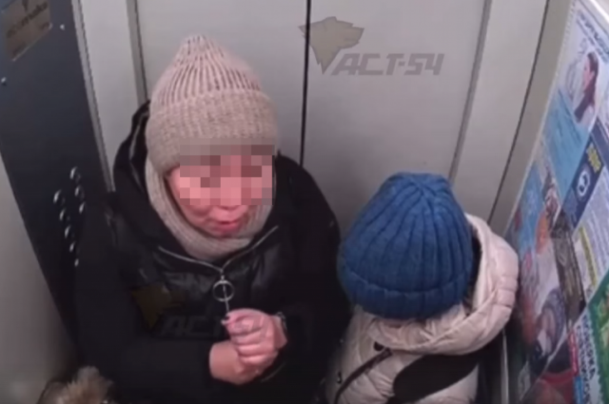    В Новосибирске в лифте подрались мать семерых детей и старшая по дому
