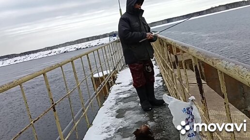 Первый выход Тобика с хозяином на весеннюю рыбалку .