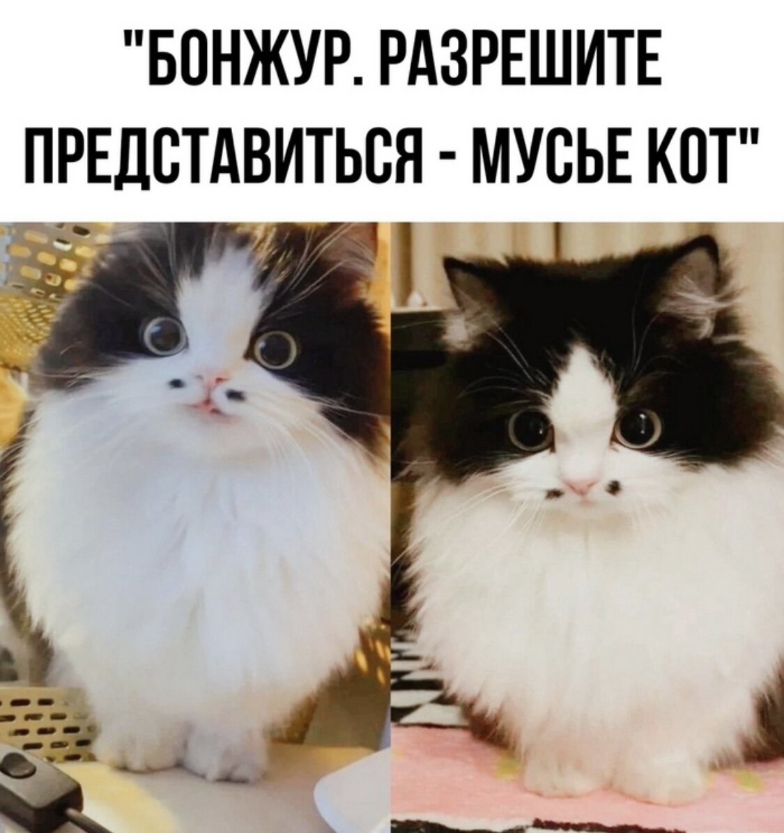 Я смеялась Пол Часа 😅🤣