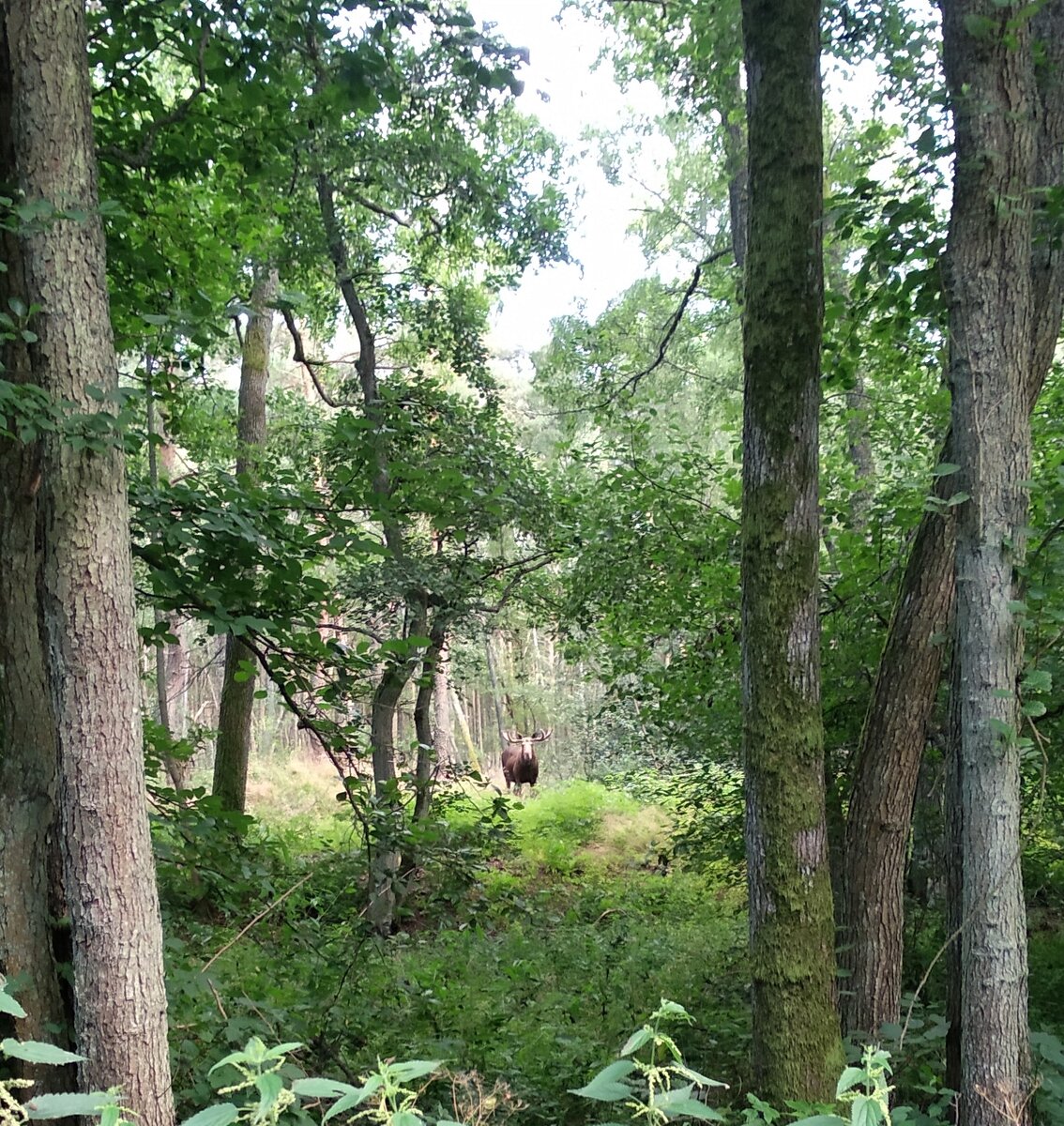 Фото из семейного архива