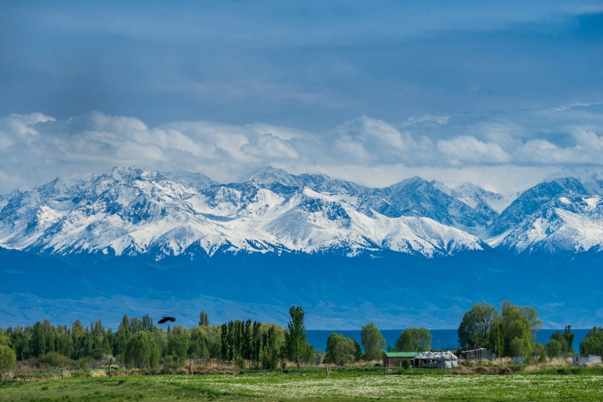 Фон Иссык Куль