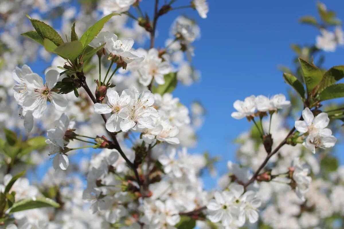 ГТРК "Ставрополье"