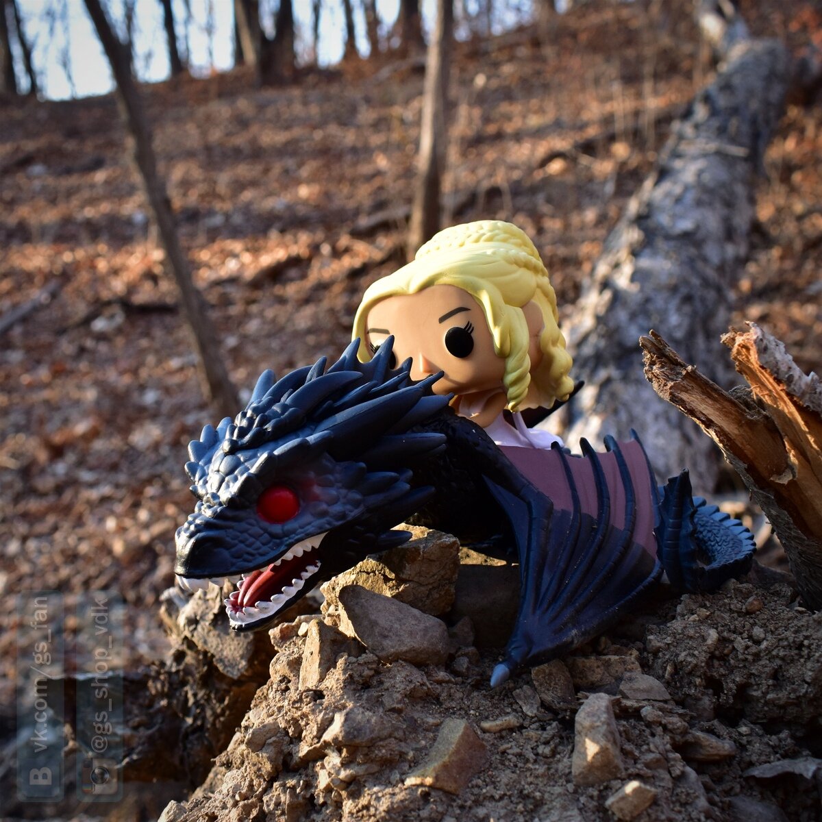 Дайнерис и Дрогон. Фото сделано автором