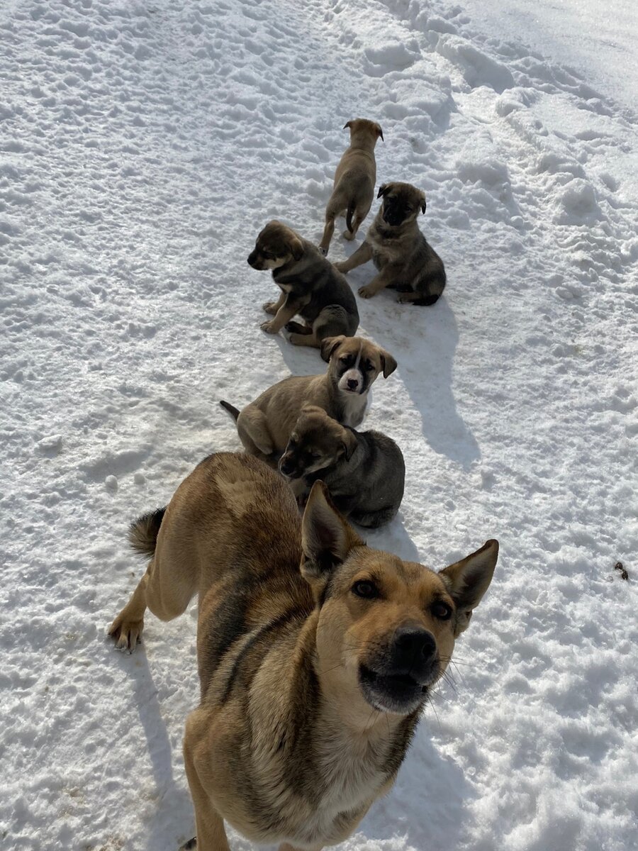 Листайте галерею