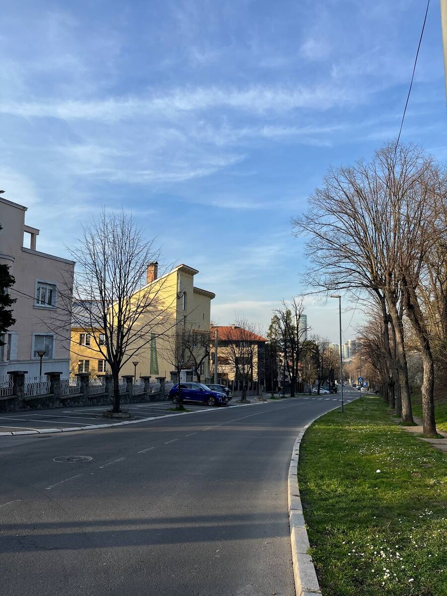 Район Сеньяк, Белград, 2023 год