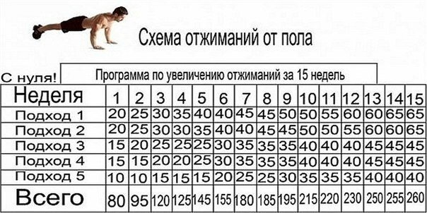 План по увеличению отжиманий - 92 фото