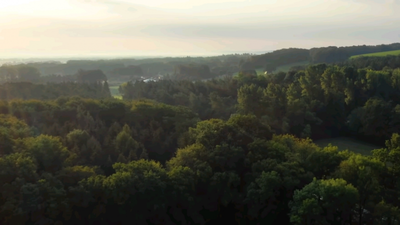 Изображение - отсюда: https://tengrinews.kz/science/uchenyie-sdelali-nahodku-veka-v-tevtoburgskom-lesu-415441/