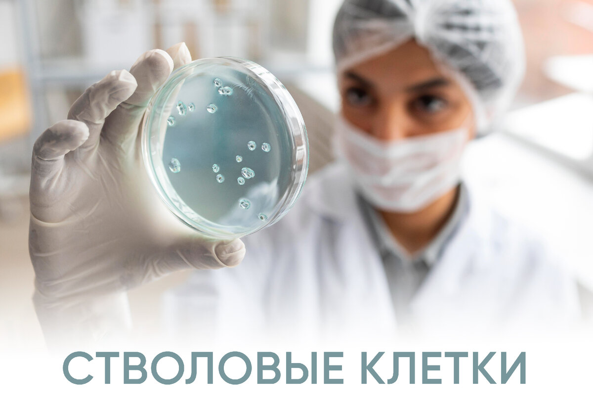 Изображение от <a href="https://ru.freepik.com/free-photo/close-up-blurry-scientist-holding-petri-dish_12892395.htm#&position=0&from_view=search&track=ais&uuid=34db6089-12d3-403c-b1c2-8ee8705e0b99">Freepik</a>