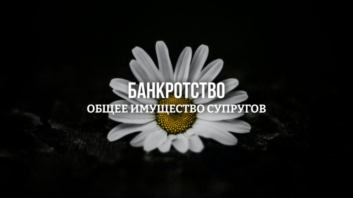 Совместное имущество в БФЛ