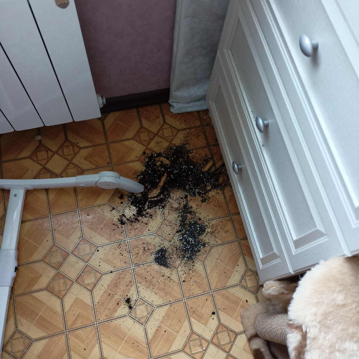 Кругом земля.