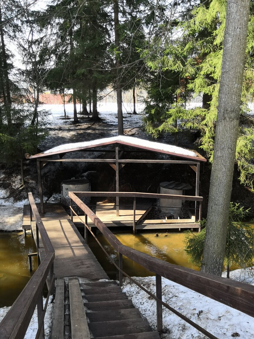 Родник благоустроили жители деревни Голубое