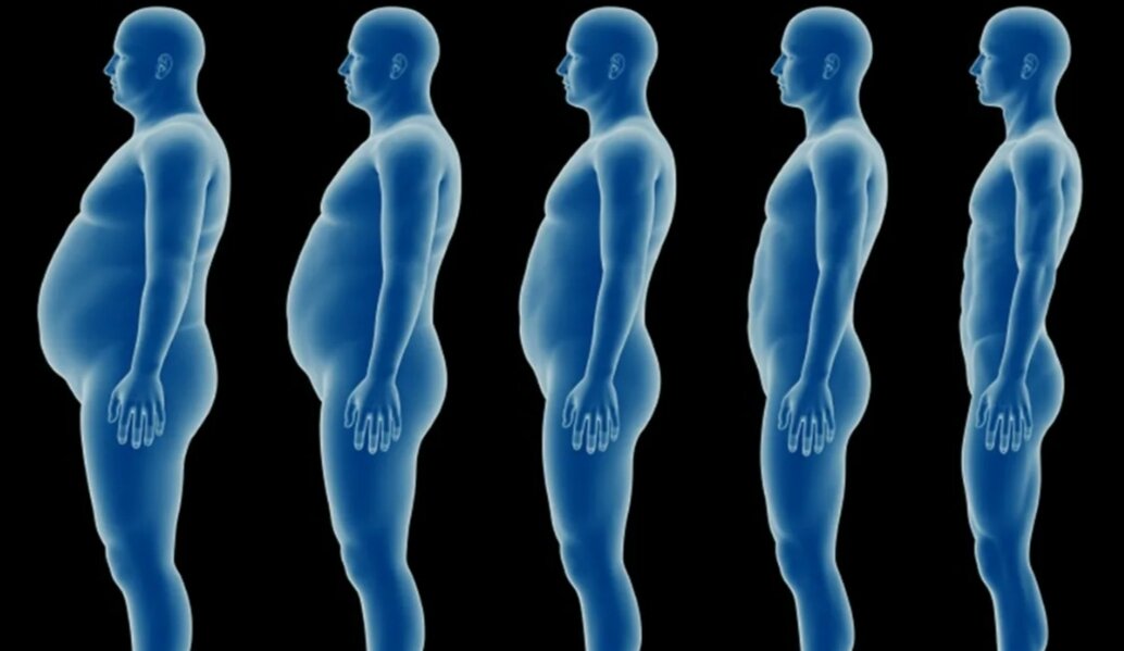 Уменьшение тестостерона ведёт к ожирению