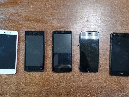     Фото: vk.com/ufsin_smolensk