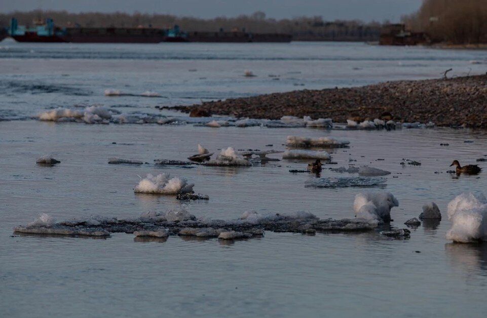     Лед сейчас стал очень хрупким Мария ЛЕНЦ