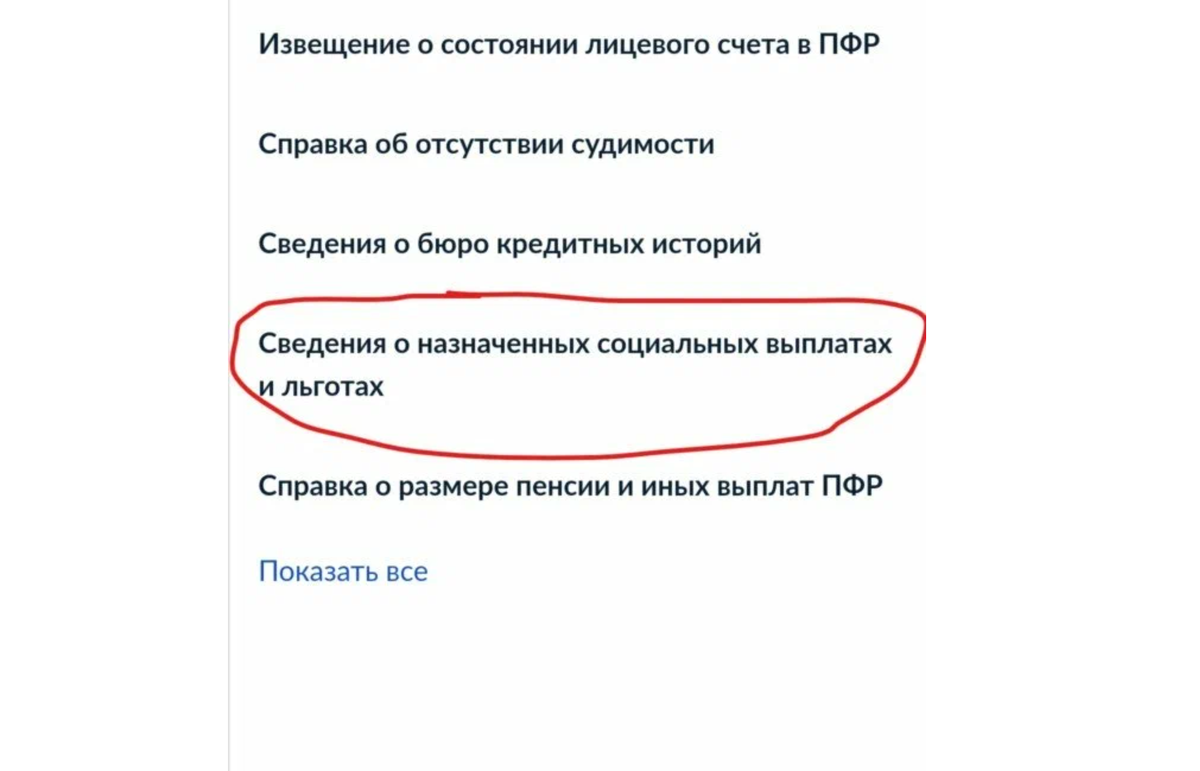 Инструкция «Получение выписки по полученным социальным выплатам через  Госуслуги» (текстовая версия) | Пособия, выплаты, льготы и другие  полезности для инвалидов и их родителей. Видеоинструкции. | Дзен