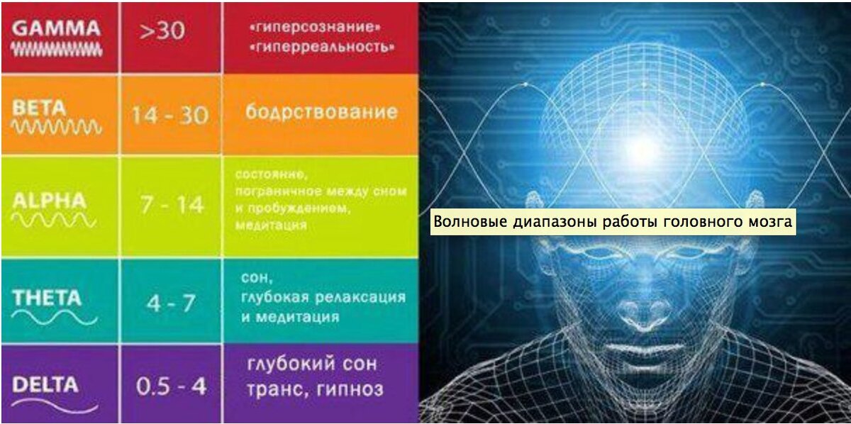 Из открытых интернет источников 