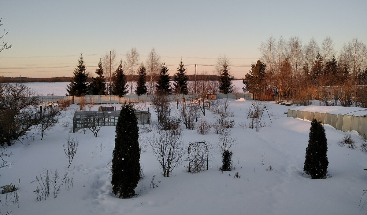 Вот как поднялись! А забор уже другой