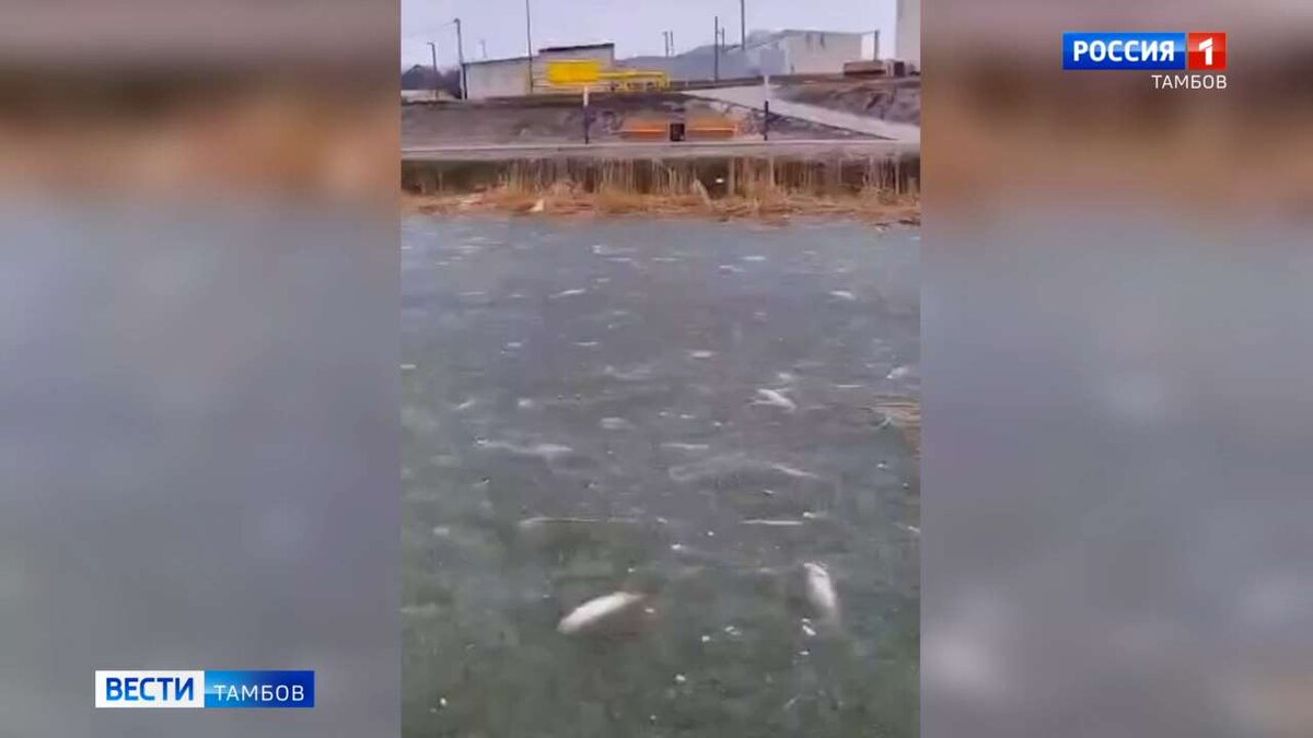 Фото из открытых источников