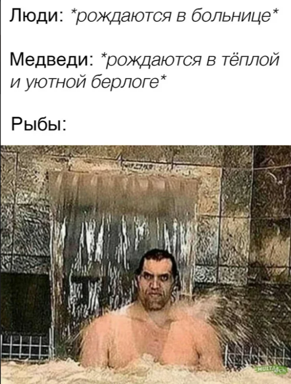 Добавьте описание