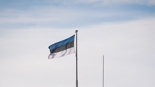   © Photo : Facebook (запрещена в РФ) / Riigikogu / Erik Peinar