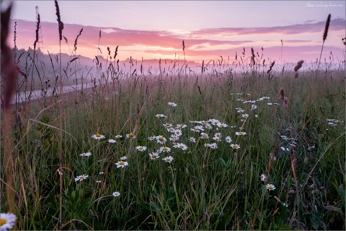 А это просто поле рядом с трассой. Примерно в том месте, где сейчас проходит ЦКАД в районе Климовска.
